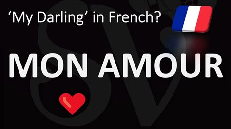 mi amor traduction|how to pronounce mon amour.